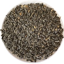 Aktarloji 1 kg Küçük Siyah Çekirdek + 1 kg Aspir Çekirdeği Papağan Yemi