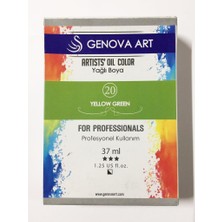 E Hobici Cenova Art Profesyonel Yağlı Boya 20 Yellow Green 37ML