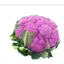 Sebze Meyve Dünyası Mor Karnıbahar 1,5 kg