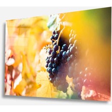 Idealizbiz Meyveler Cam Tablo 4mm Dayanıklı Temperli Cam