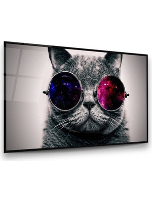 Glass Art Gözlüklü Kedi Manipülasyon Yatay Cam Tablo