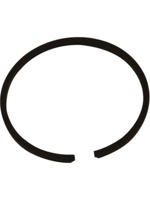 Palmera 44MM (1,5mm) Segman  BG-CG520 Palmera 156960 C524348