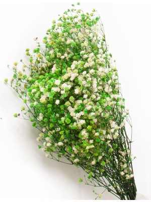 Sff Moda Cipso Yeşil - Kurutulmuş Çiçek