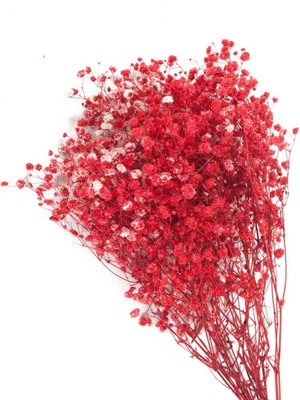 Sff Moda Cipso Kırmızı - Kurutulmuş Çiçek