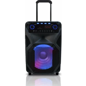 MX-305 Taşınır Müzik Seti
