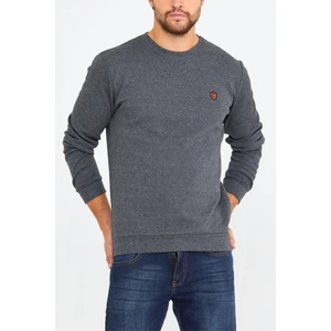 Erkek Bisiklet Yaka Göğüs Nakış Detaylı Gri Sweatshirt