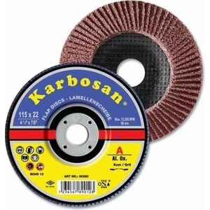 Flap Disk Zımpara 115 mm 80 Kum 2 Adet
