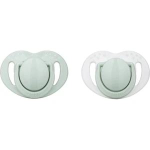 Sterilizasyon & Saklama Kutulu Silikon Ortodontik Ikili Emzik Powder Green / 6 Ay +
