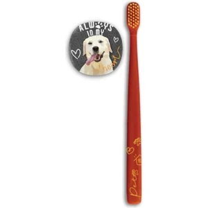 Flipper Pets Hijyenik Saklama Kabı ve Yetişkin Diş Fırçası Seti (Köpek)