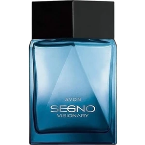 Segno Vısıonary Edp 75ML Erkek  Parfüm