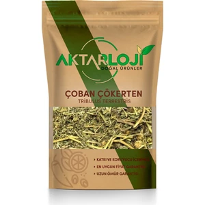 Çoban Çökerten Otu - Tribulus Terrestris ( Demir Dikeni Otu ) 50 gr