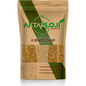 3 kg Kızıl / Kırmızı Darı Kuş Yemi