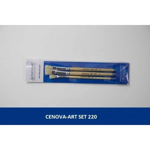 Cenova Art Set 220