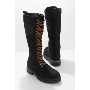 Harley Davidson Çizme