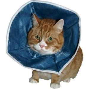Buster Kedi Köpek Yakalığı