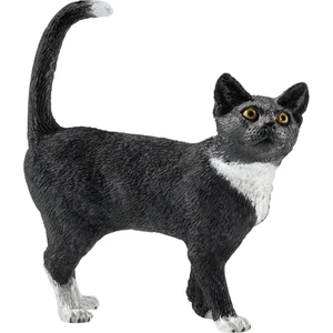 Ayakta Kedi 13770
