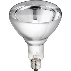 Şeffaf General Elektrik Infrared Isıtıcı Ampul Lamba 250 Wat