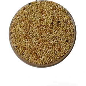 Vivid Bird Karışık Kuş Yemi 500GR