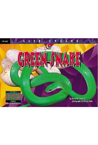 Creative Teaching Press Green Snake