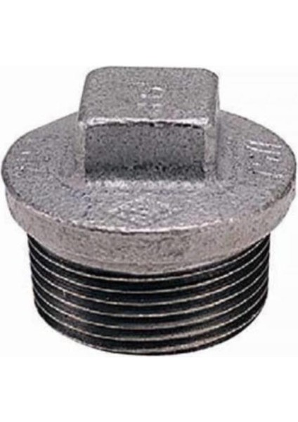 1" Galvaniz Tapa