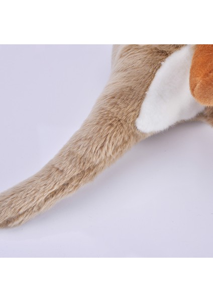 Yumuşak Peluş Kanguru Oyuncak 38cm (Yurt Dışından) indirimleri