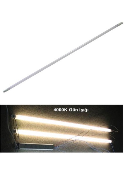 Substitube 8W LED Floresan Günışığı 840 60 cm