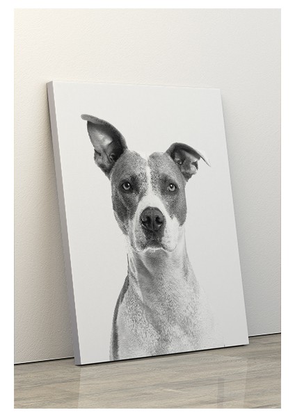 70X100 Hd Dekoratif Duvar Kanvas Tablo