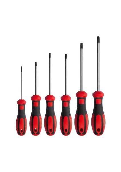 Tornavida Takımı Delikli Torx 6'lı