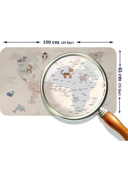 Eğitici Dünya Haritası Dünya Atlası Çocuk ve Bebek Odası Duvar Sticker 3809 fiyatları