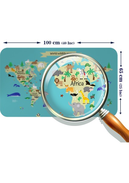 Eğitici Dünya Haritası Dünya Atlası Çocuk ve Bebek Odası Duvar Sticker 3829 fiyatları