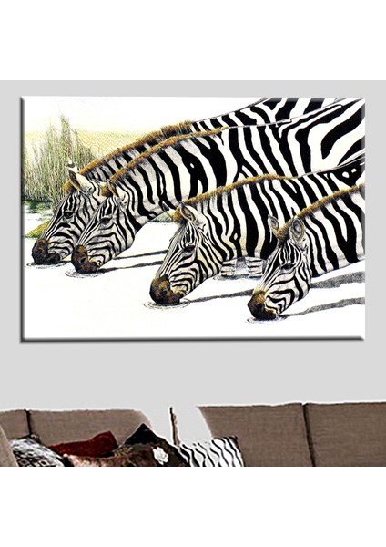 Zebra Tabloları