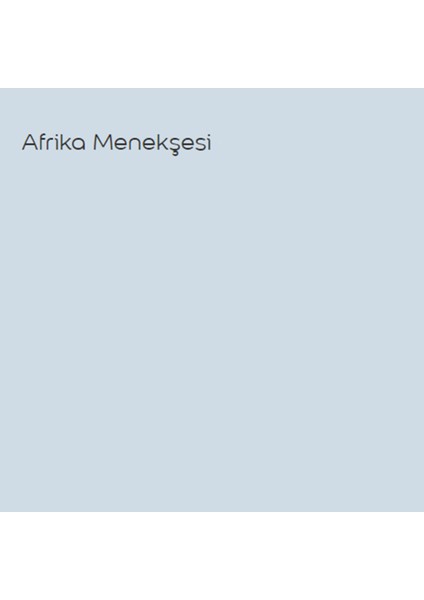 Silikonlu Özel Mat Afrika Menekşesi 2,5 Lt (3,5 Kg)