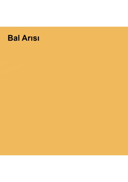 Silikonlu Özel Mat Bal Arısı 2,5 Lt (3,5 Kg)