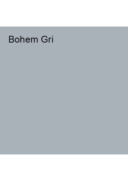 Silikonlu Özel Mat Bohem Gri 2,5 Lt (3,5 Kg)