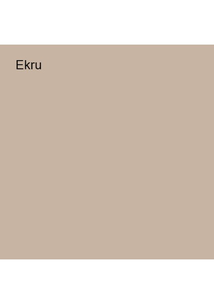 Silikonlu Özel Mat Ekru 2,5 Lt (3,5 Kg)