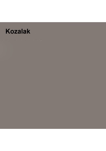 Silikonlu Özel Mat Kozalak 2,5 Lt (3,5 Kg)