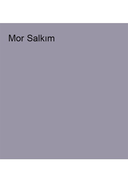 Silikonlu Özel Mat Mor Salkım 2,5 Lt (3,5 Kg)