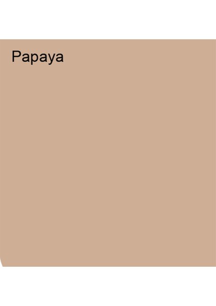 Silikonlu Özel Mat Papaya 0,75 Lt (1 Kg)