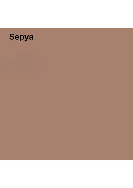 Silikonlu Özel Mat Sepya 15 Lt (20 Kg) fiyatları