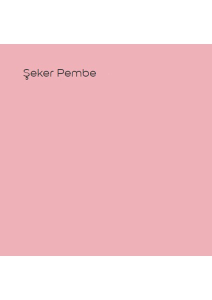 Silikonlu Özel Mat Şekerpembe 15 Lt (20 Kg) fiyatları