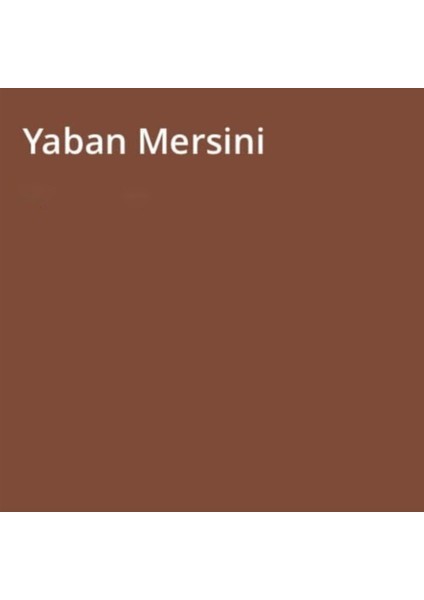 Silikonlu Özel Mat Yaban Mersini 15 Lt (20 Kg) fiyatları