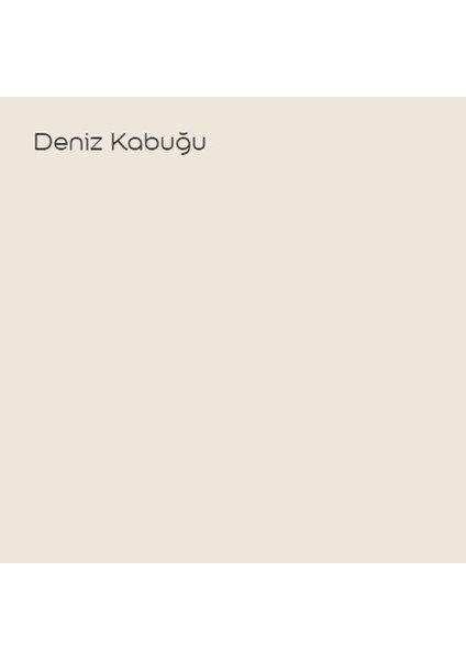 Silikonlu Özel Mat Deniz Kabuğu 2,5 Lt (3,5 Kg)