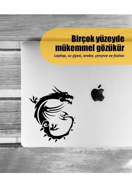 | Msı Logo | Araba Laptop Duvar Folyo Sticker 25 x 30 cm