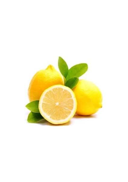 Limon Yatak Tane