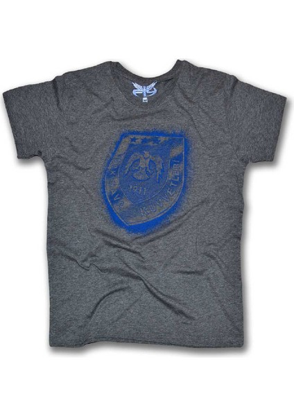 Hava Kuvvetleri Logo Erkek Kısa Kollu T-Shirt - Gri