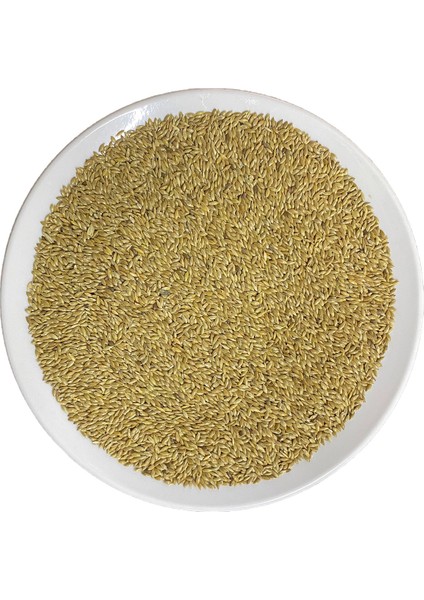 Aspur Tohumu 100 gr