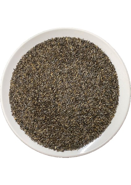 250 gr Nijer Tohumu