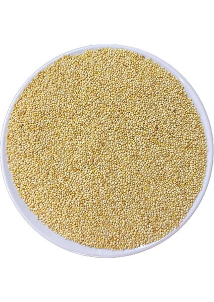500 gr gr Ak Darı Sade Muhabbet Kuşu , Papağan, Bülbül , Saka, Güvercin, Serçe Yemi Kuş Yemi fiyatları