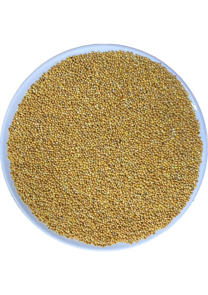1 kg Sarı Darı Sade Muhabbet Kuşu , Papağan, Bülbül , Saka, Güvercin, Serçe Yemi Kuş Yemi