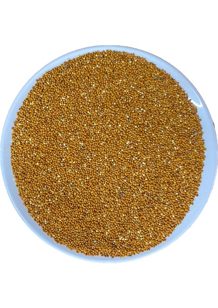 500 gr gr Kızıl / Kırmızı Dal Darı Taneleri Elenmiş Yeni Yavrular Için 250 gr fiyatları